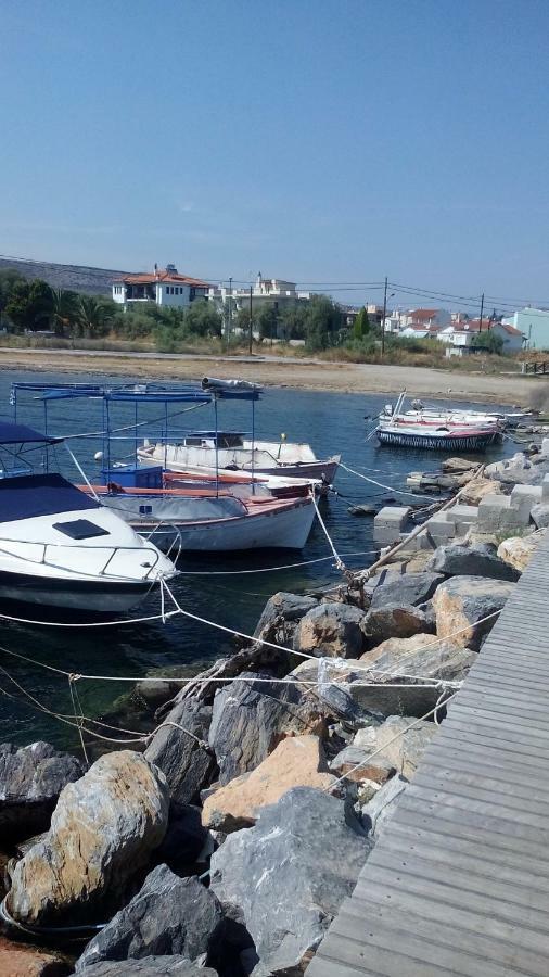 Maria Lux * Volos