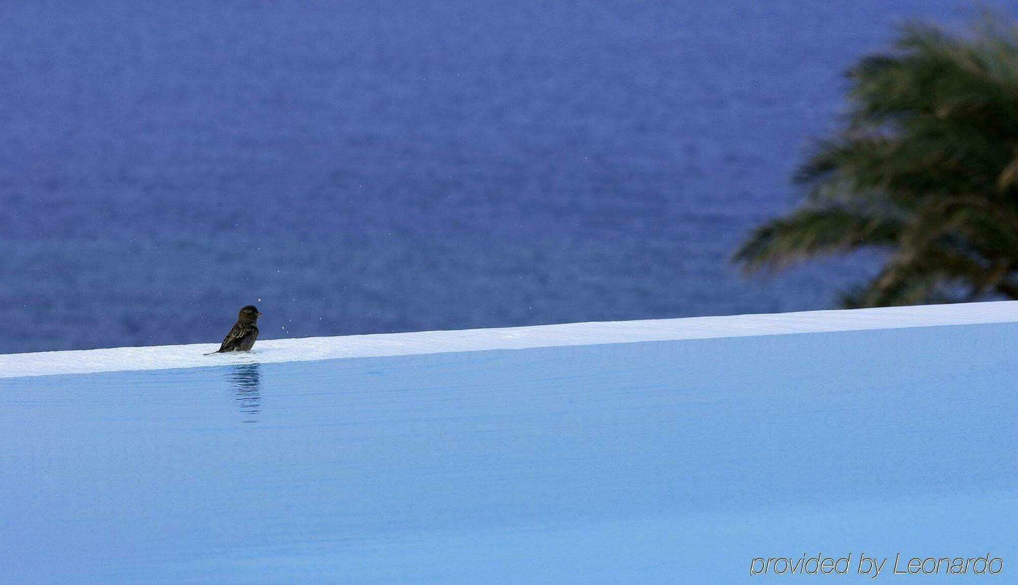 Hotel Bill&coo Mykonos-the Leading Of The World (adults Only)