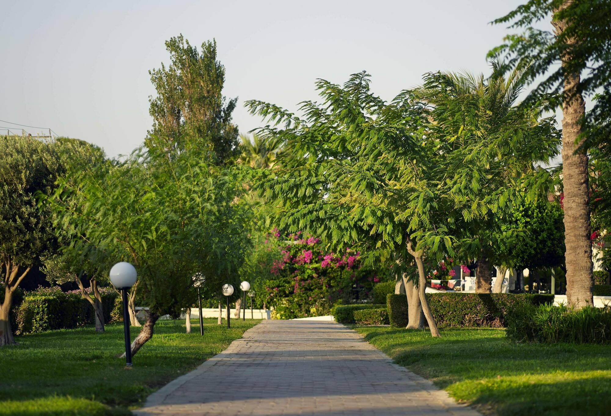 Mitsis Rodos Maris Resort Kiotari