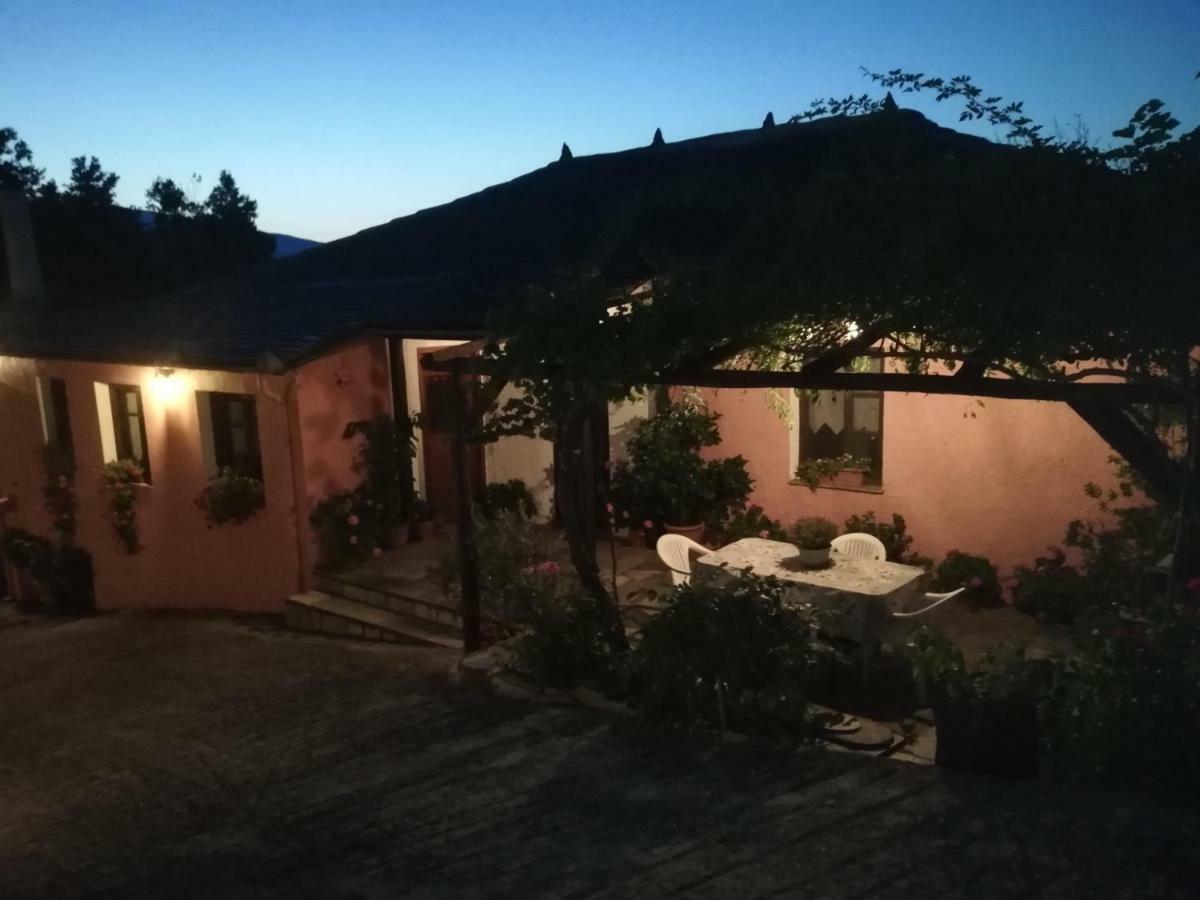 Guest house Horizon *