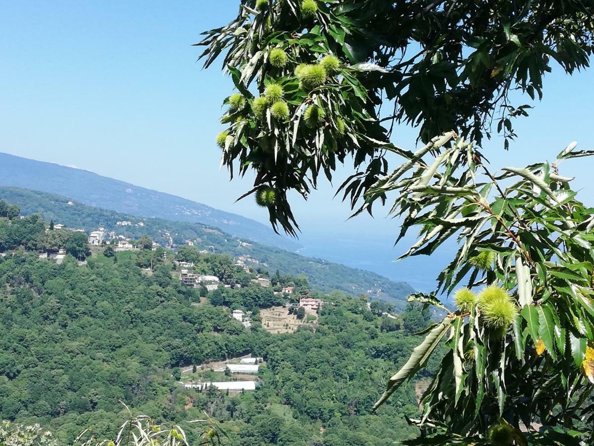 Horizon Guest house Tsagarada