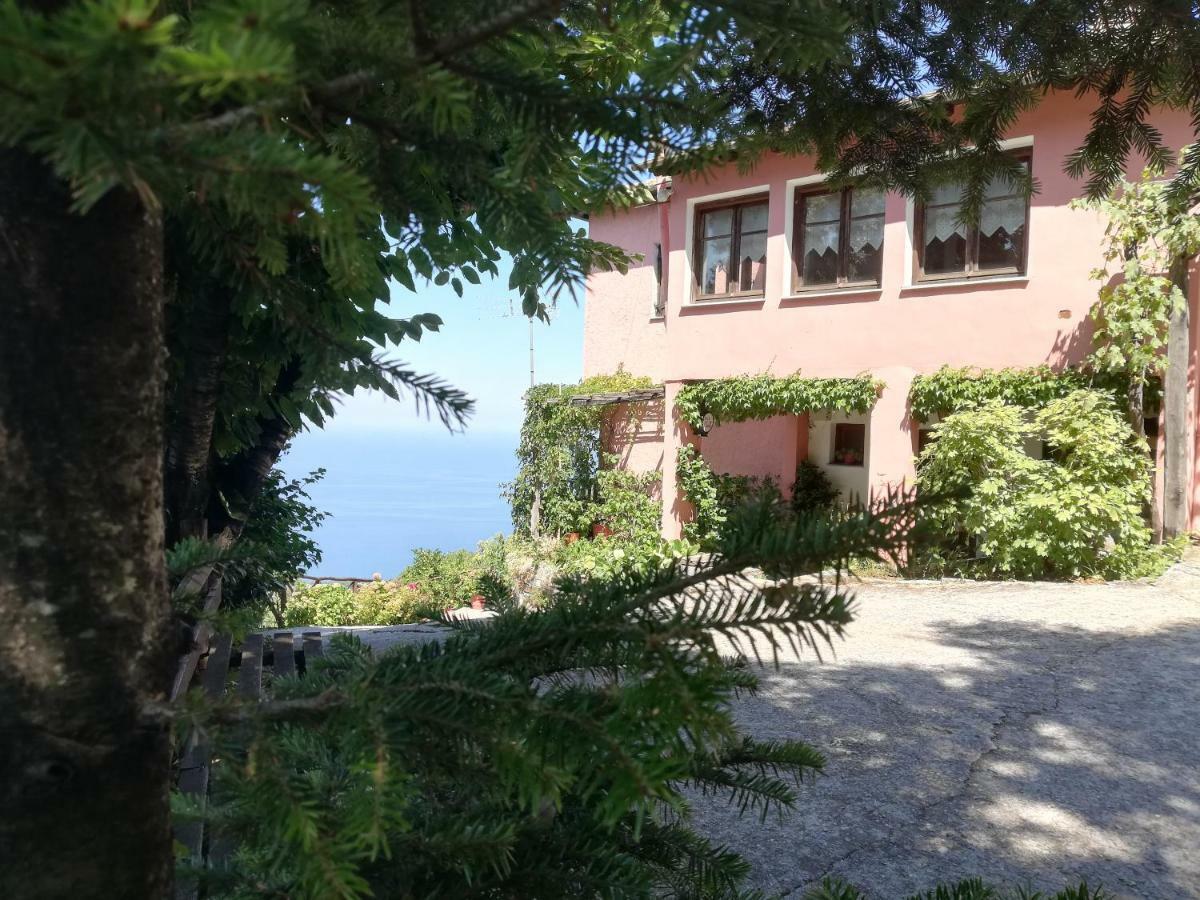 Guest house Horizon *