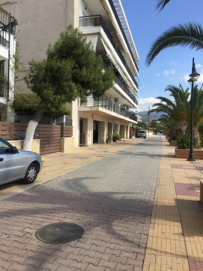 Nour63 Agioi Theodoroi