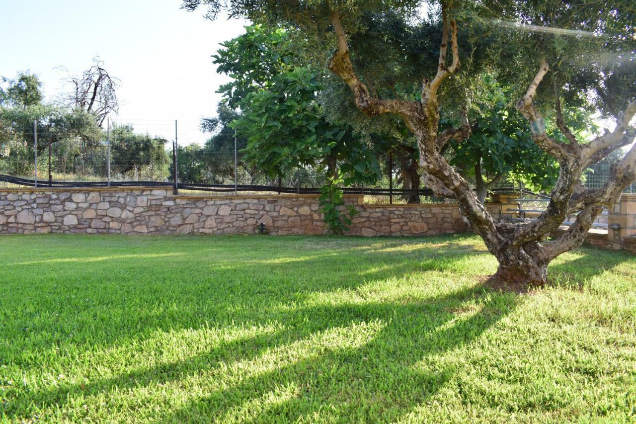 Alexandros Seaside Family & - Paradise, 7' From Petalidi