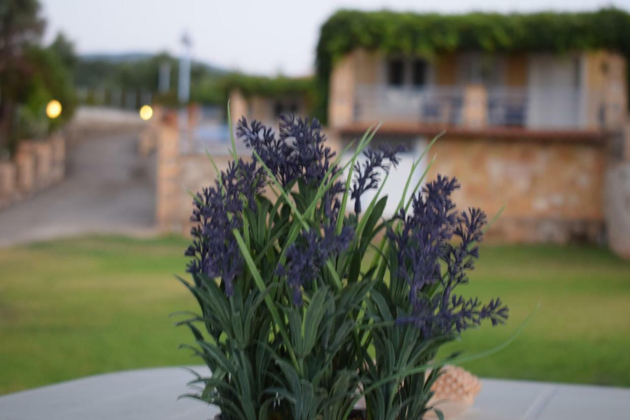Alexandros Seaside Family & - Paradise, 7' From Petalidi *