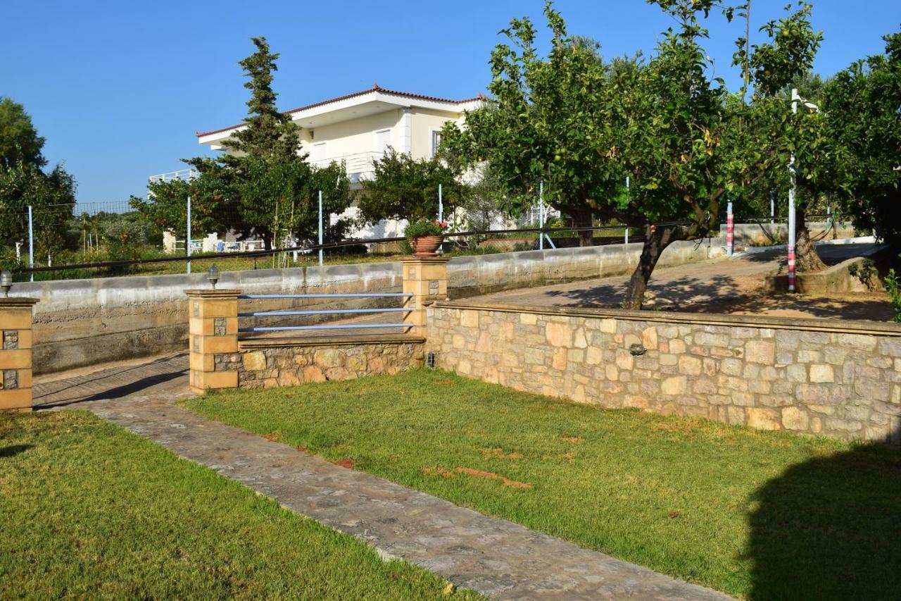 Alexandros Seaside Family & - Paradise, 7' From Petalidi