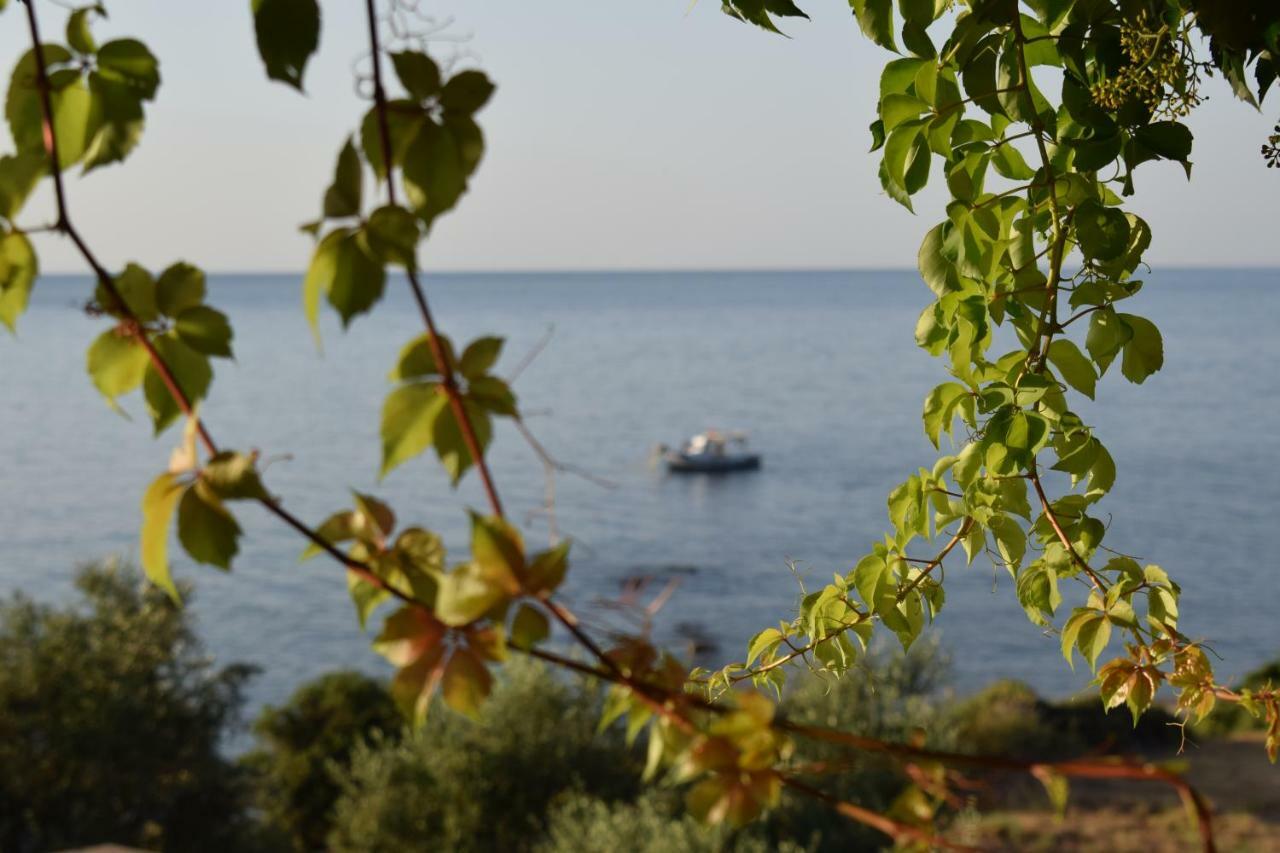 Alexandros Seaside Family & - Paradise, 7' From Petalidi Apartment *