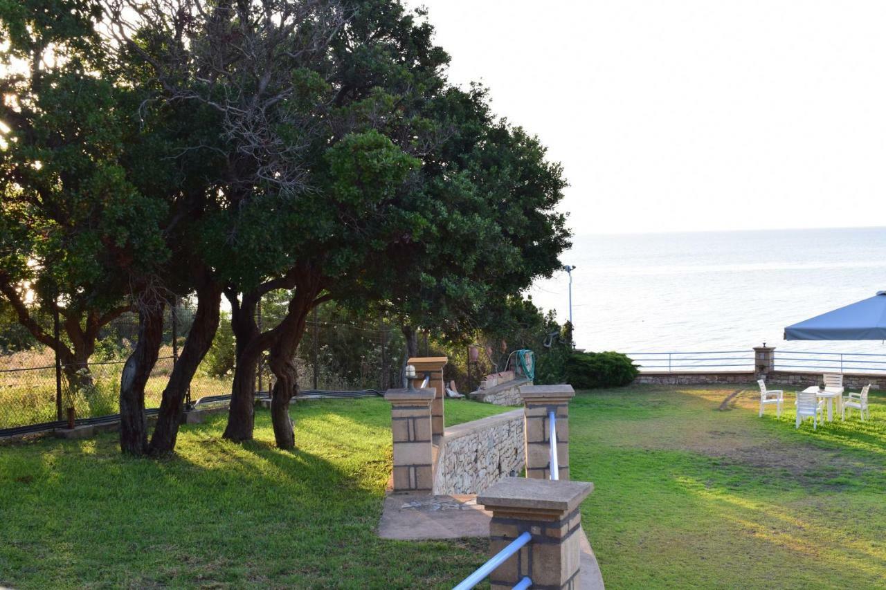 Alexandros Seaside Family & - Paradise, 7' From Petalidi *
