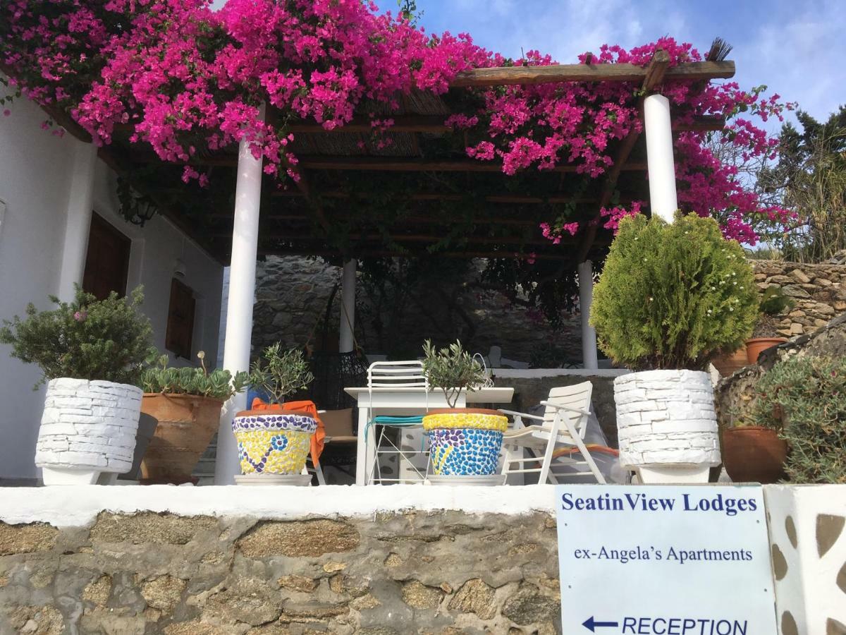 Seatinview Apartment Mykonos Town