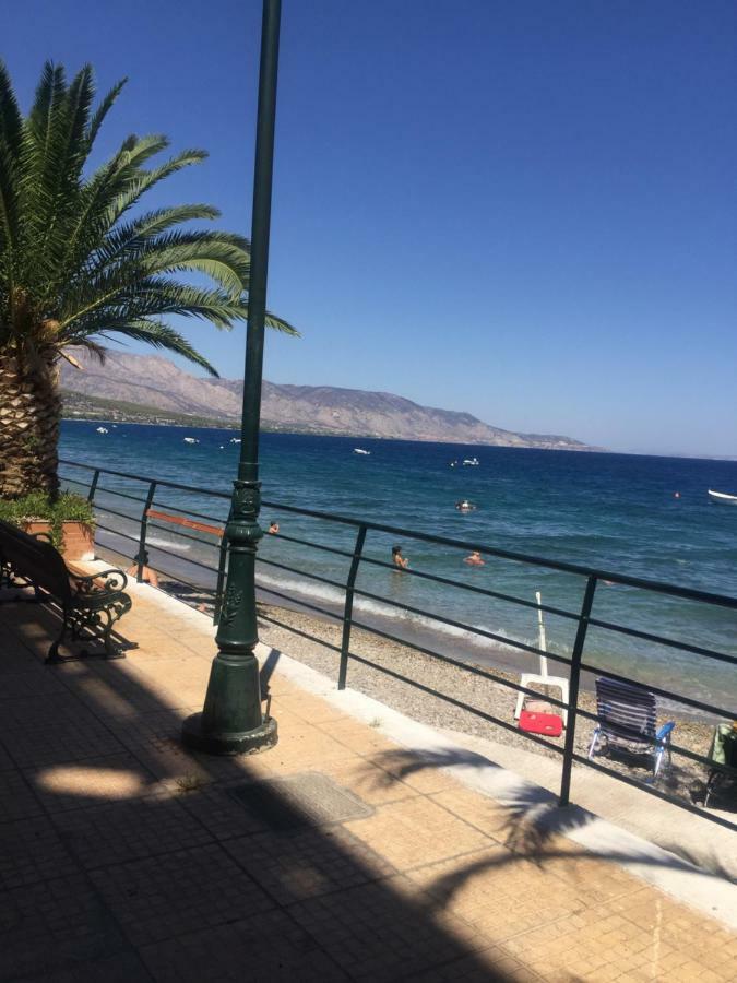 Nour63 * Agioi Theodoroi