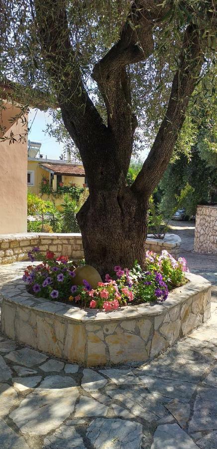 Aliki's Comfortable Holiday Apartments-great Location * Nisaki (Corfu)