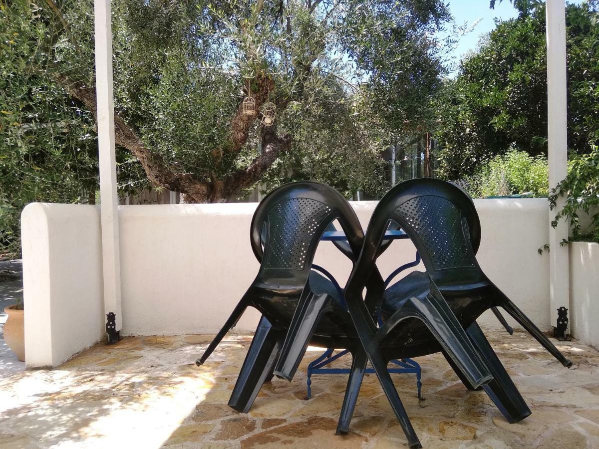 Sarantakis Apartment