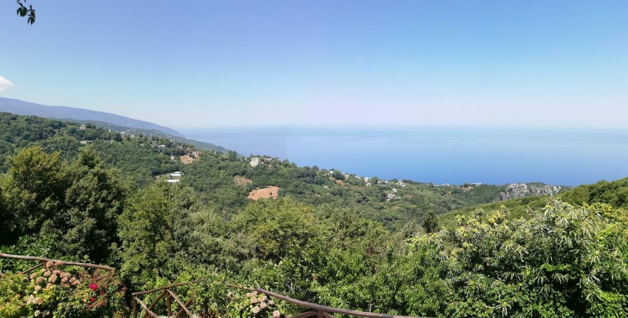 Horizon Guest house