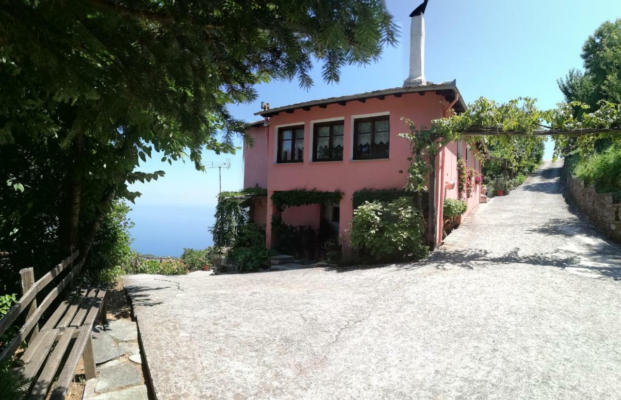 Horizon Guest house
