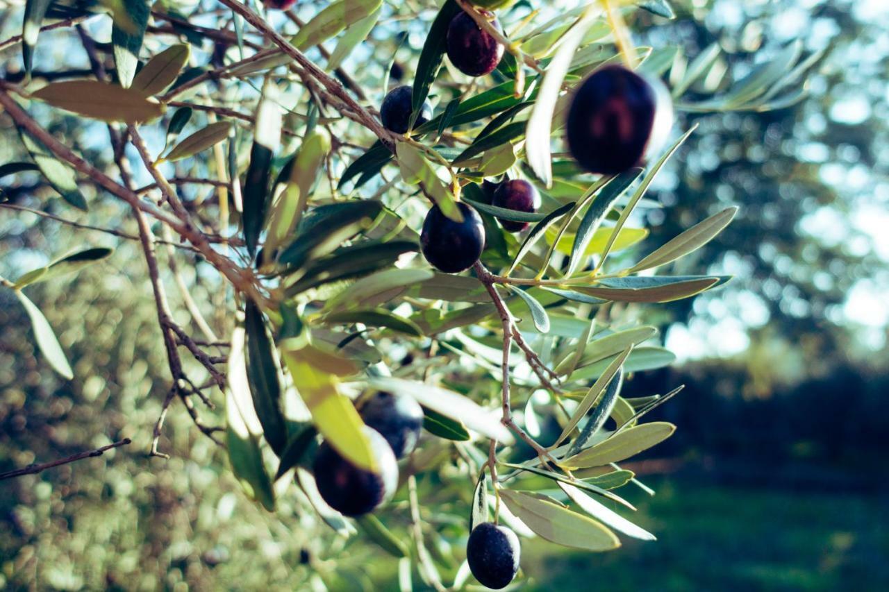 Umami Makri