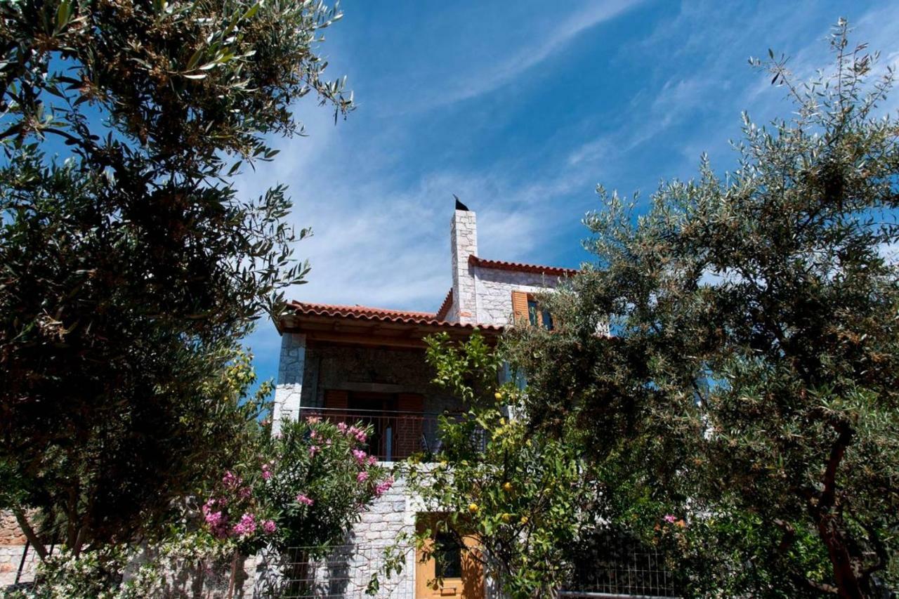 Seaside Serenity - Stylish Seaview Apartment