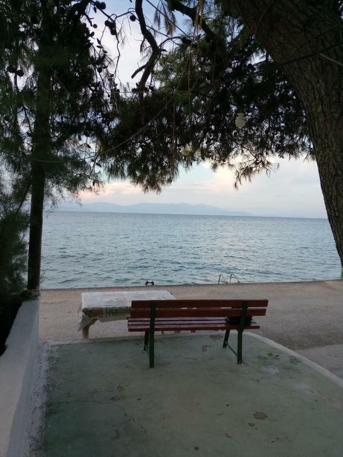 Apartment Balcony To Waves