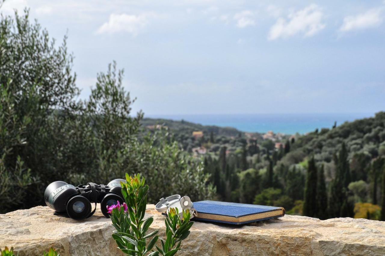 Apartment Larna Corfu