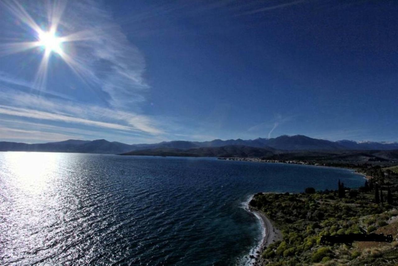 Luxury Seafront House Nearby Delphi Apartment