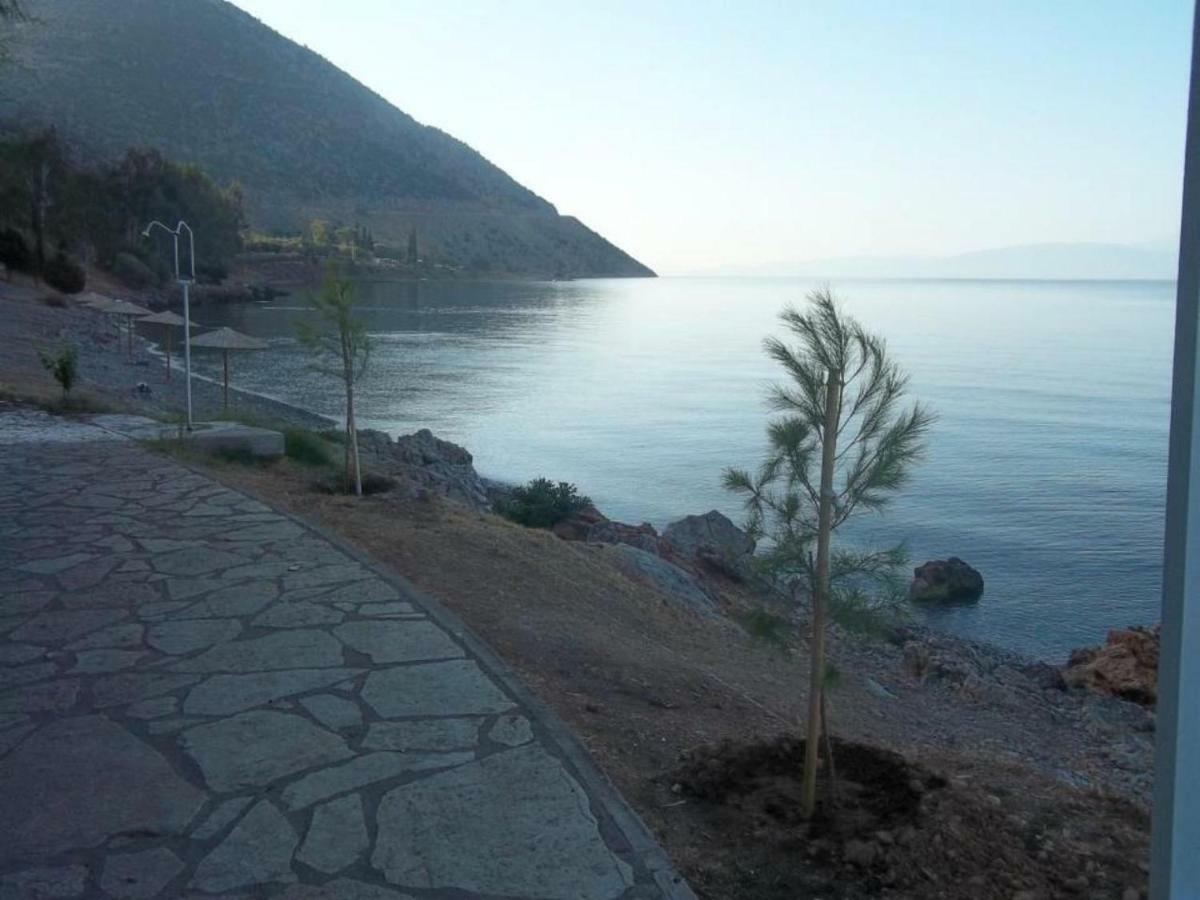 Luxury Seafront House Nearby Delphi Apartment *