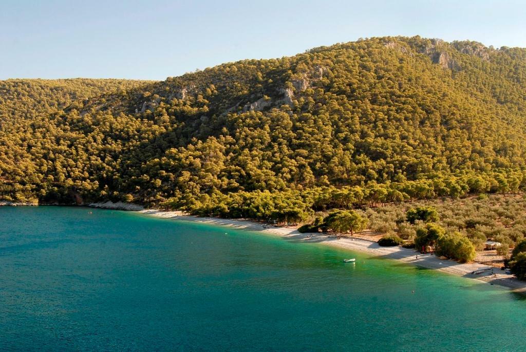 Soligia Blue Villa