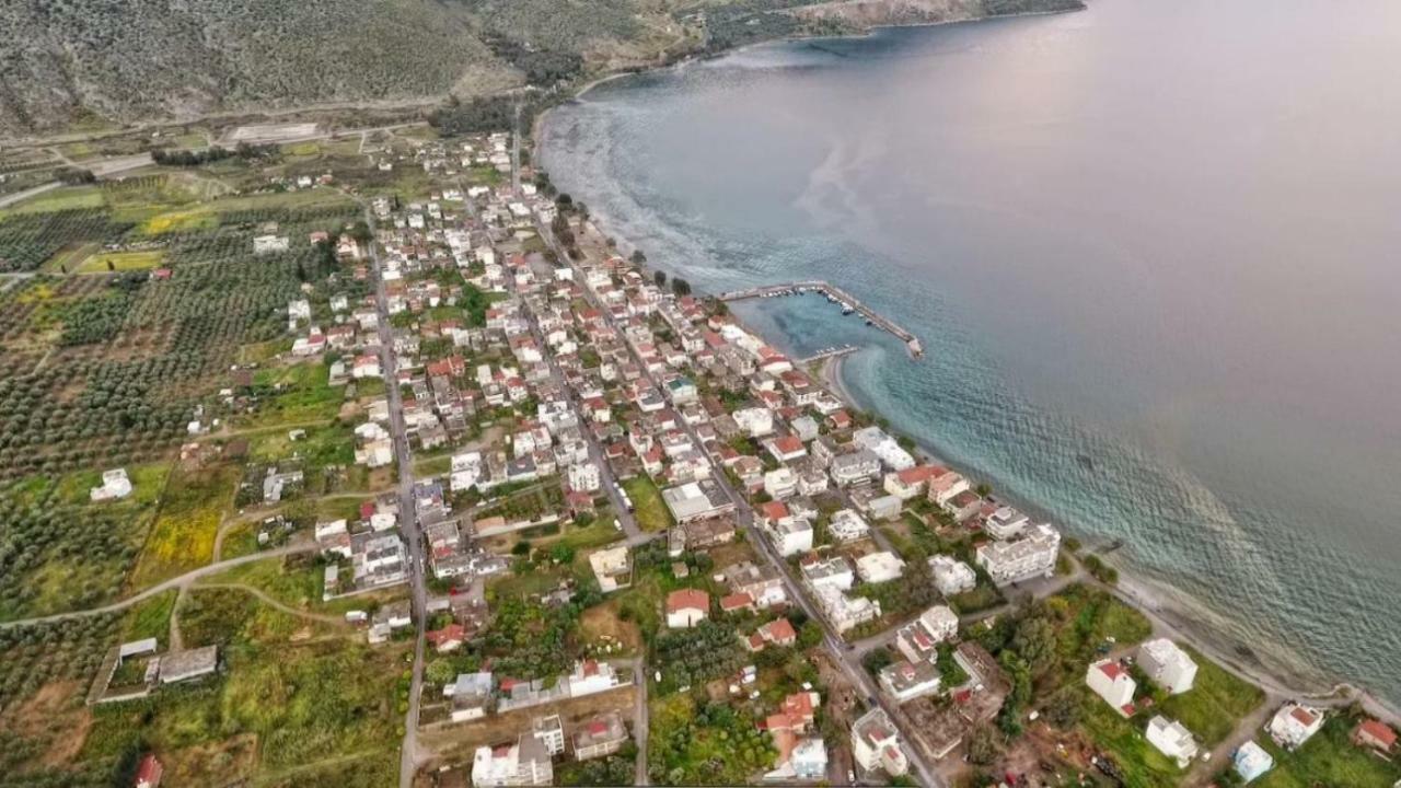 Luxury Seafront House Nearby Delphi Kirra