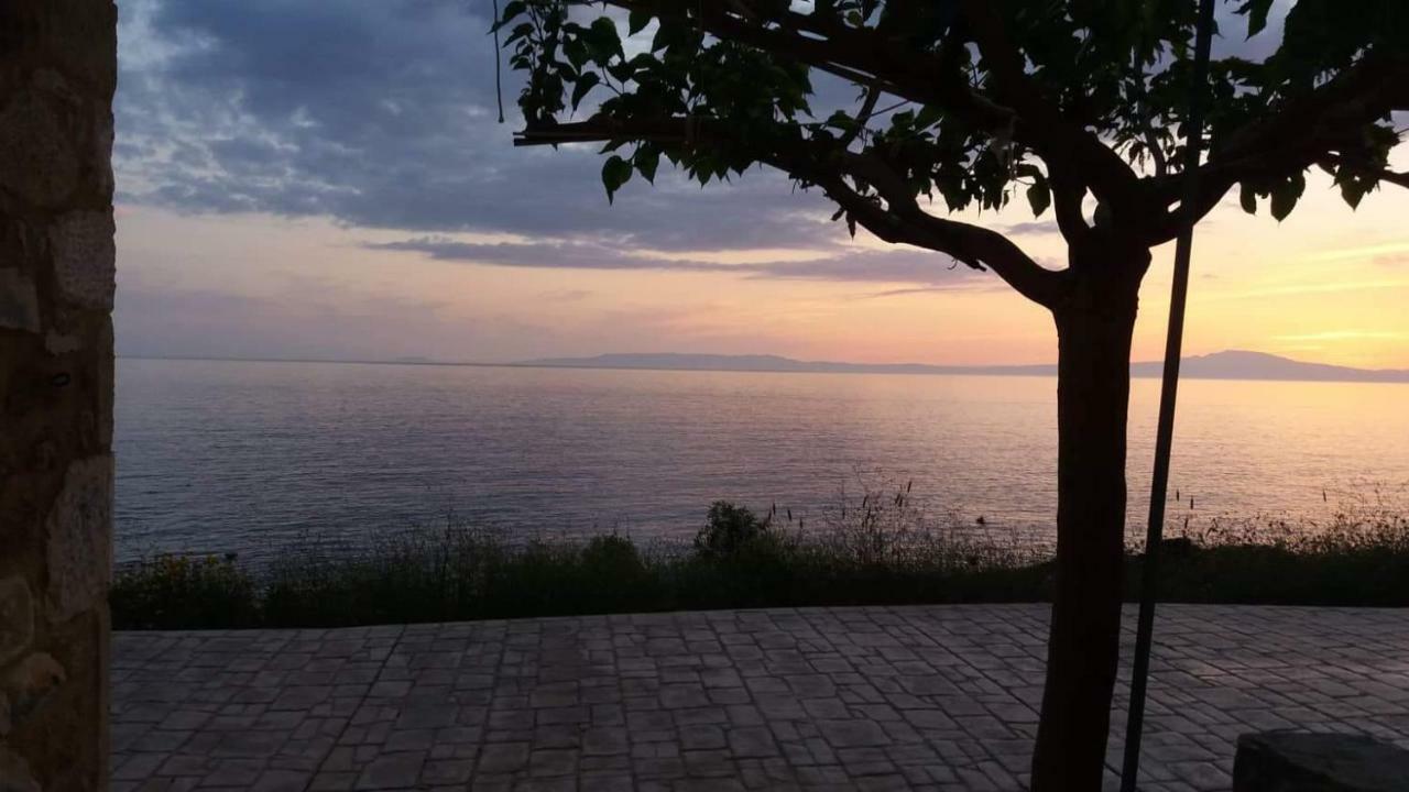 Apartment Pogonitsa *