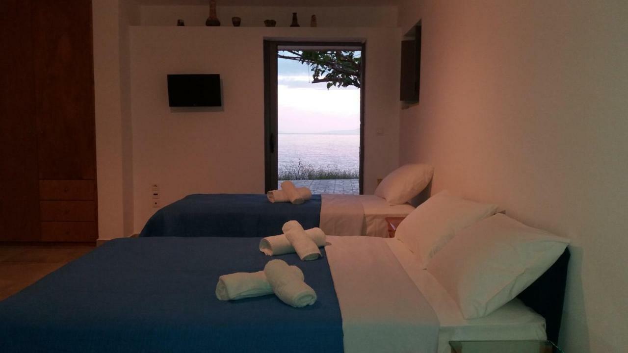 Apartment Pogonitsa