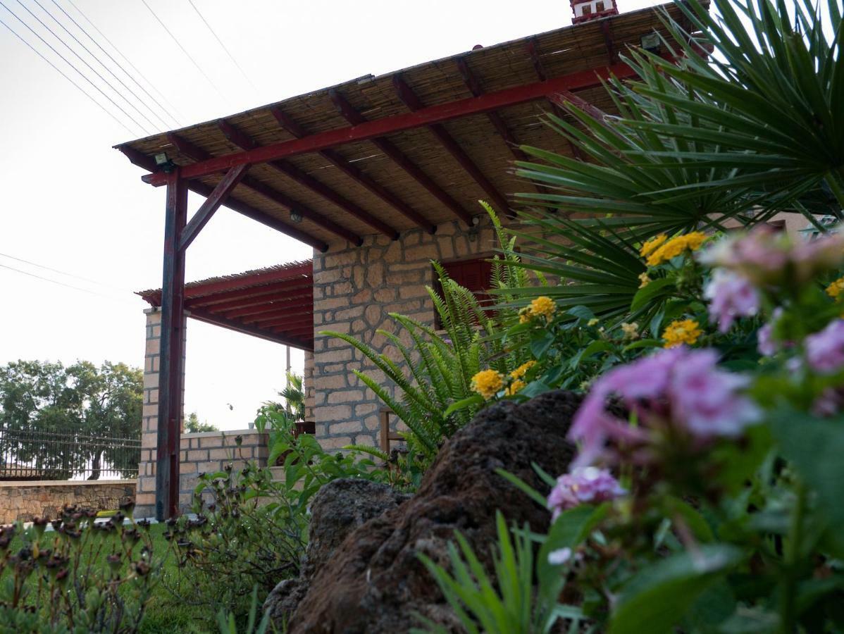 Villa Stone House