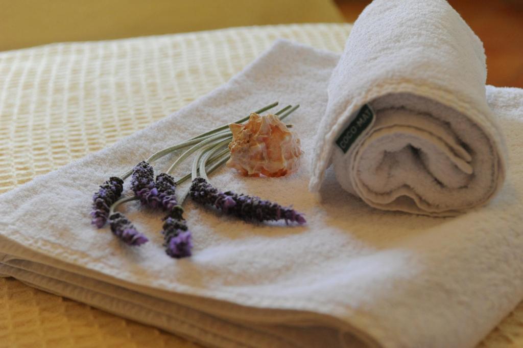 Long View Hammam & Aparthotel 3*