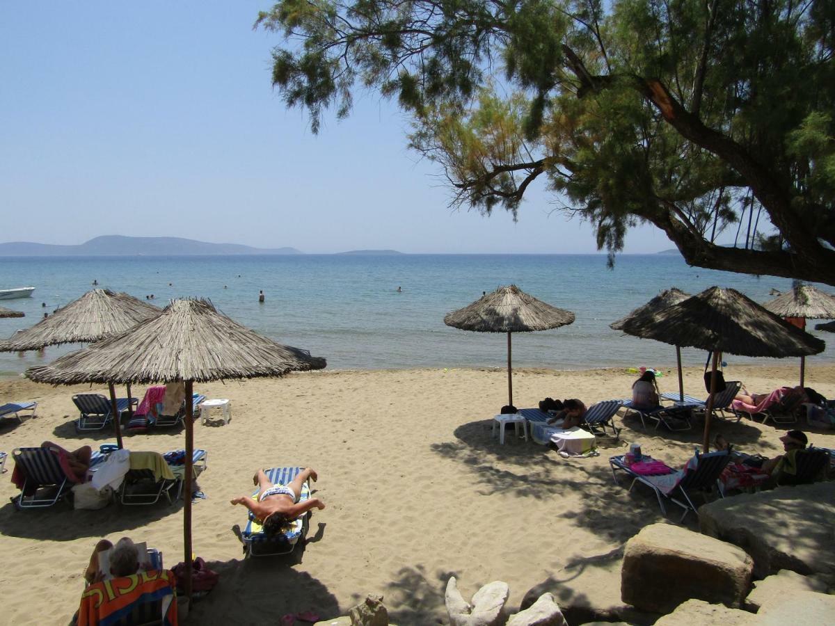 Lemon Tree Holiday home Finikounta