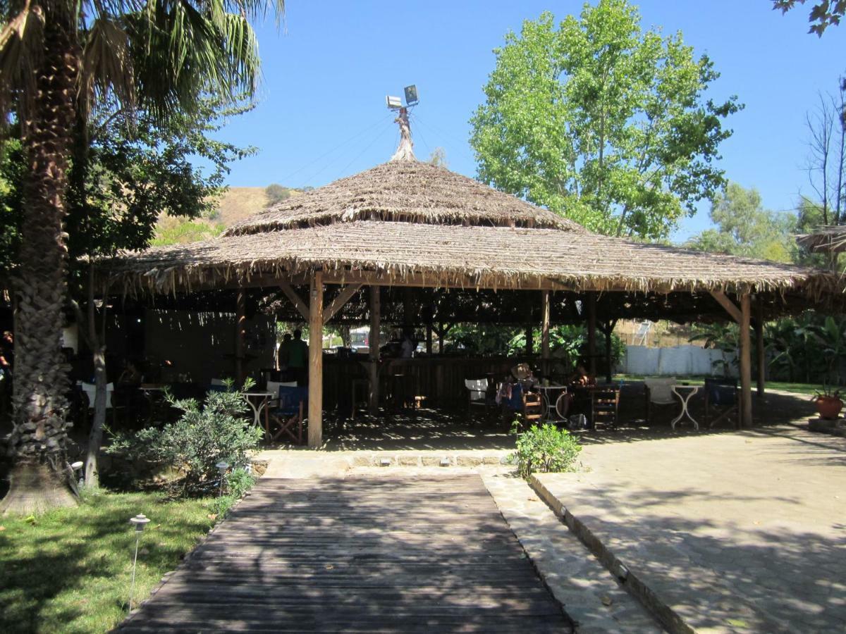Lemon Tree * Finikounta
