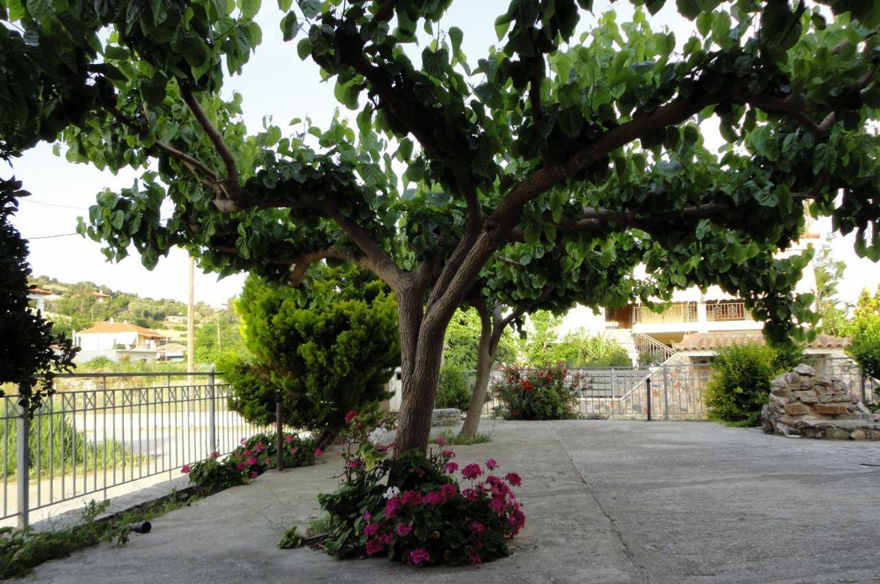 Aparthotel Petries Agioi Apostoloi (Evia)