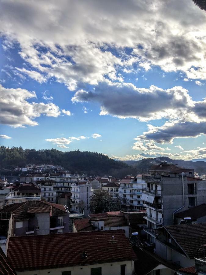 Traditional Penthouse With Mountain View Apartment Grevena