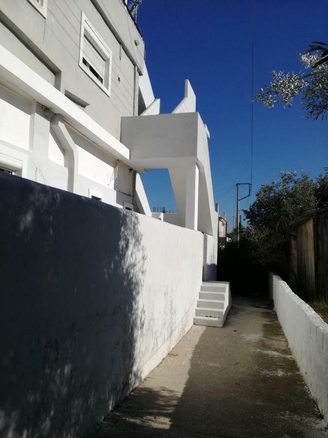 Seven Seas Artemida (Attica)