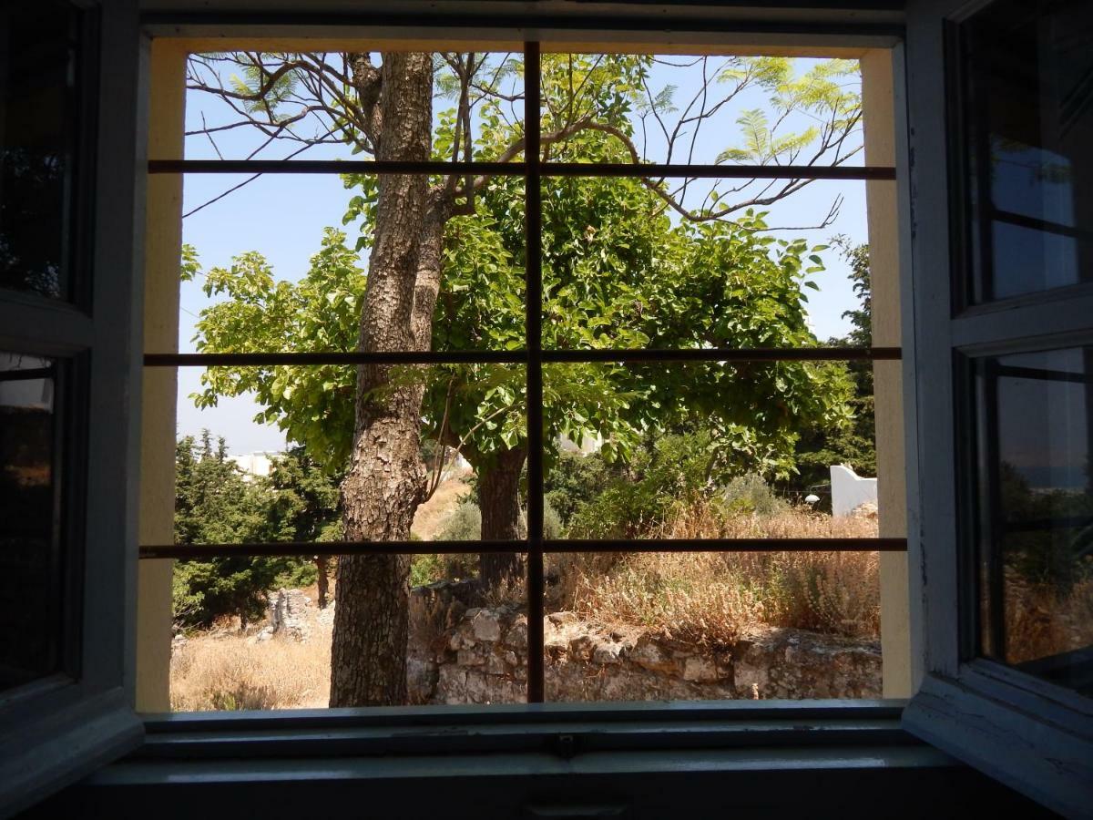 Villa Kos *