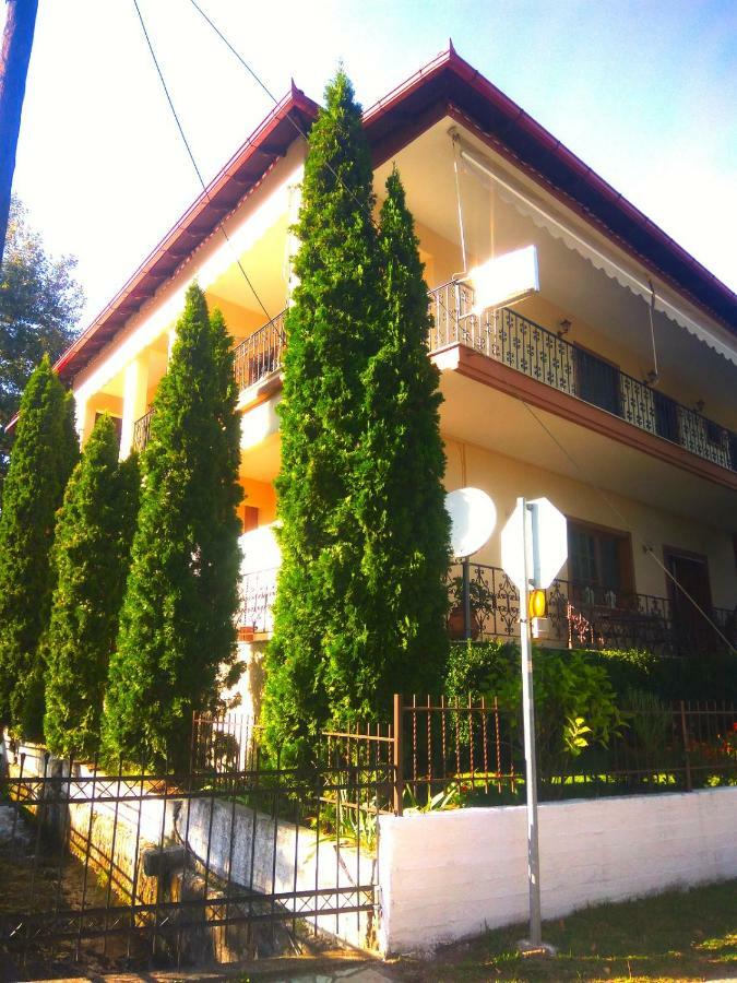Platon Guest house *