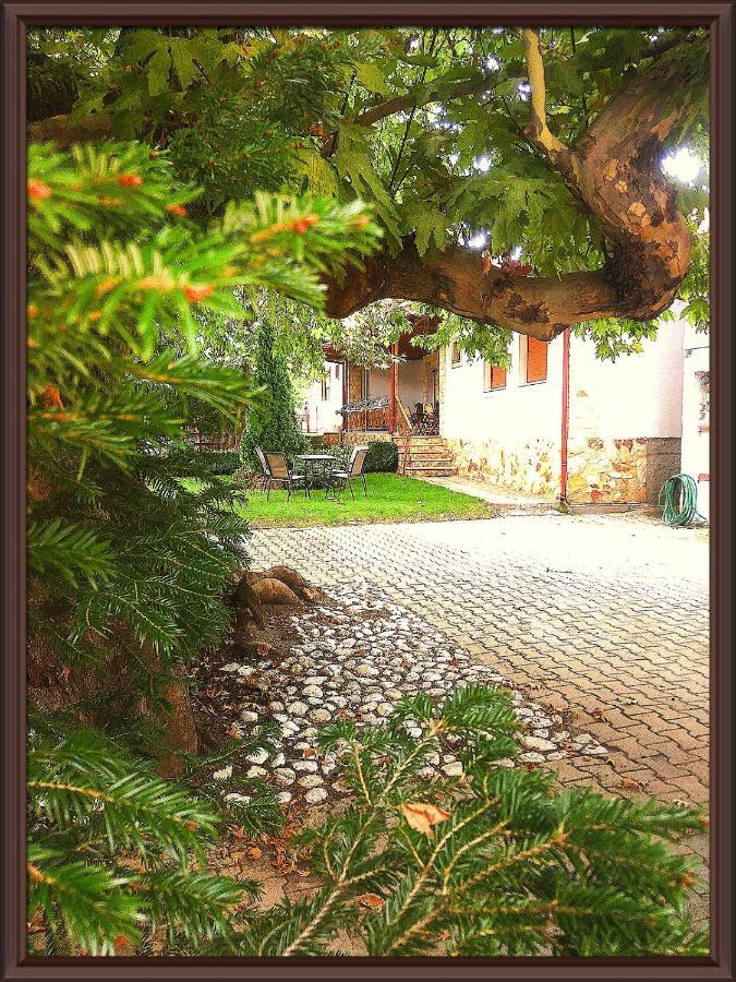 Platon Guest house Orma