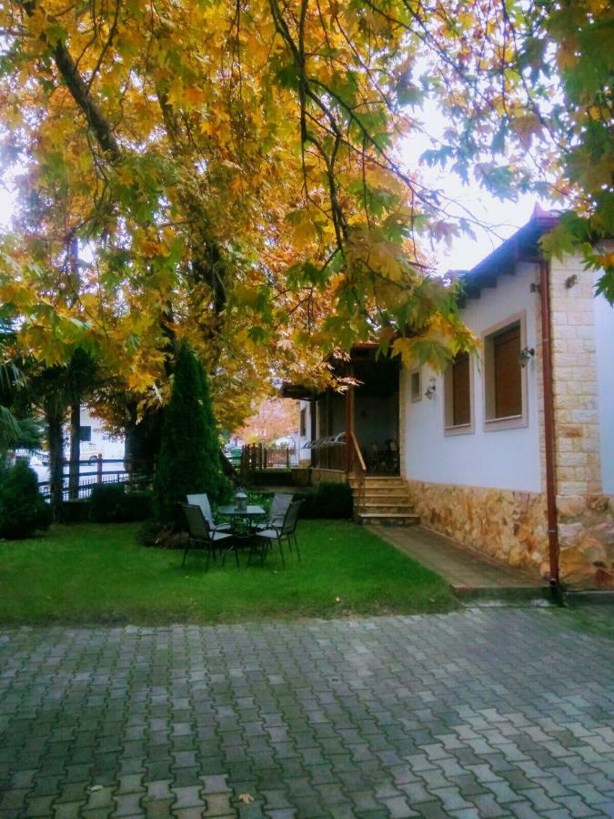 Platon Guest house *