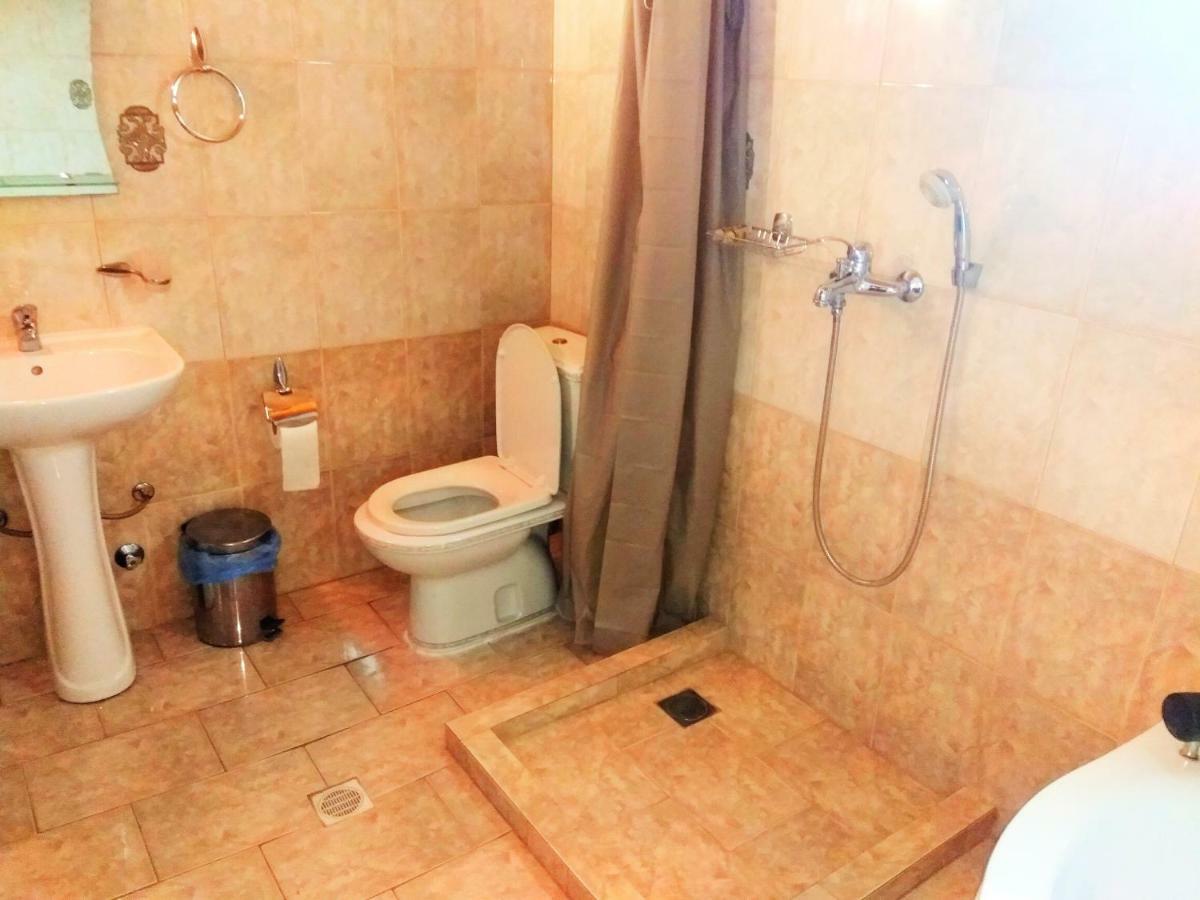 Guest house Platon *