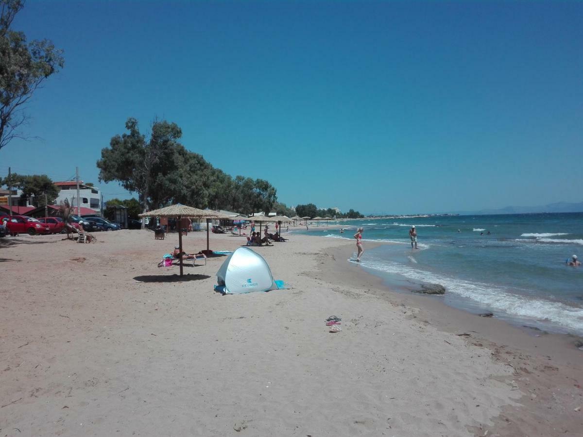 Thanos Artemida (Attica)