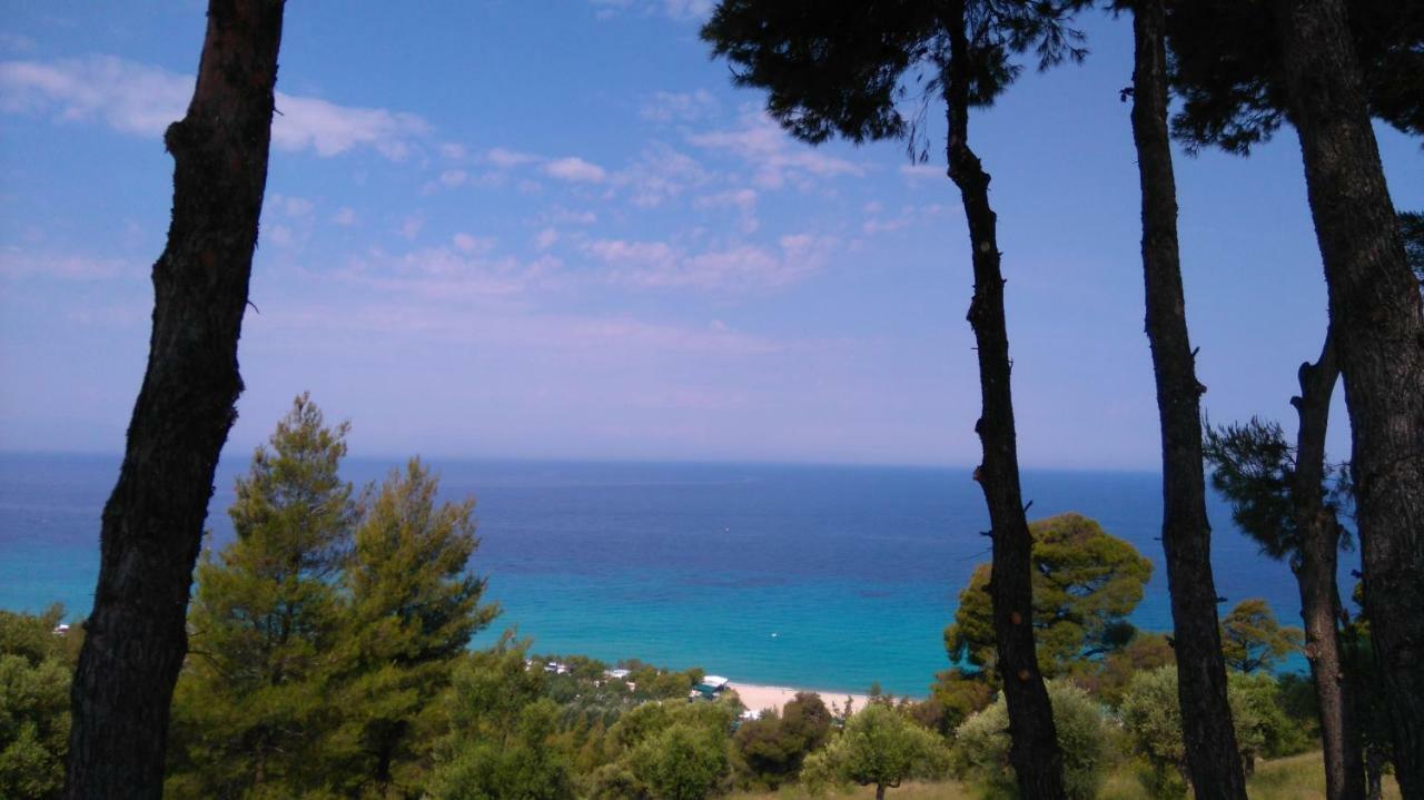 Holiday home Blue Luxury Maison *