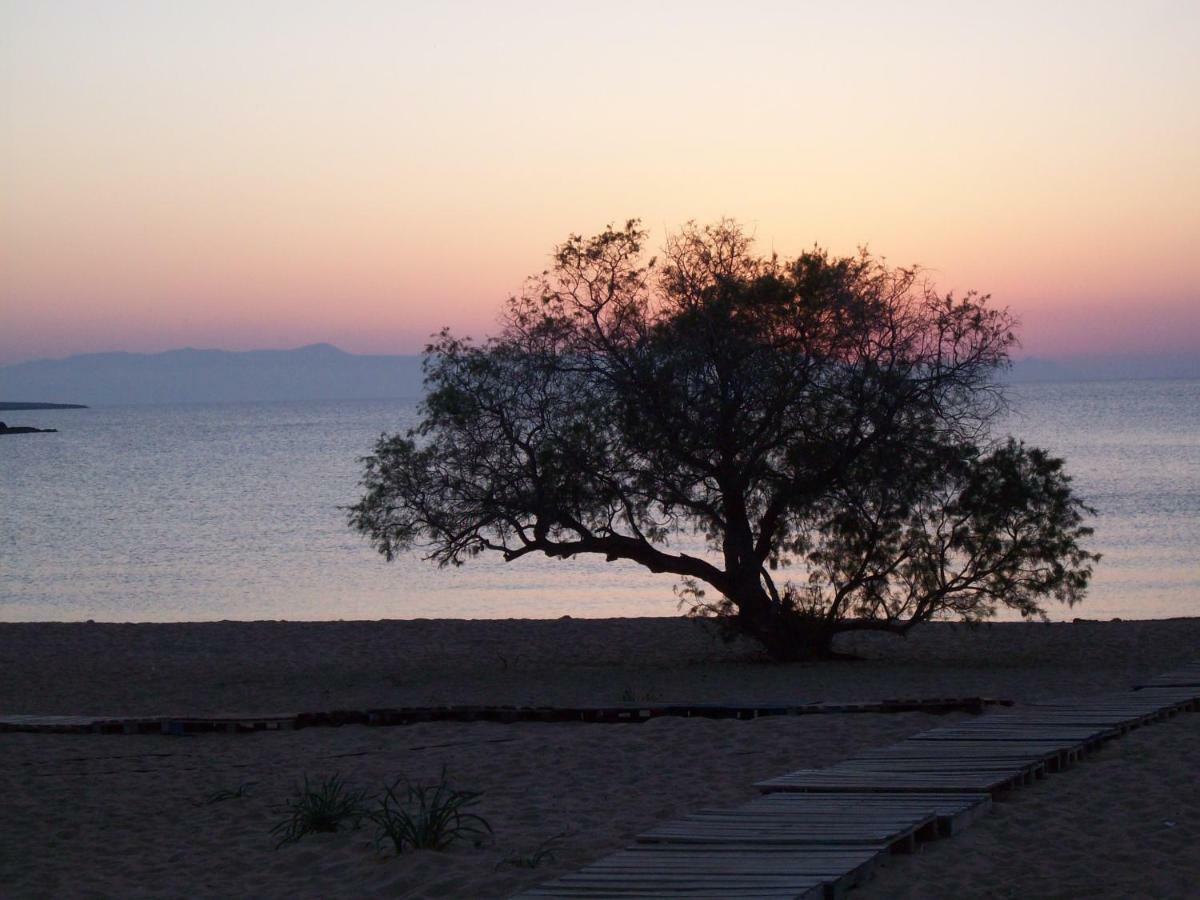 Comfortable House Near Chania * Kalathas