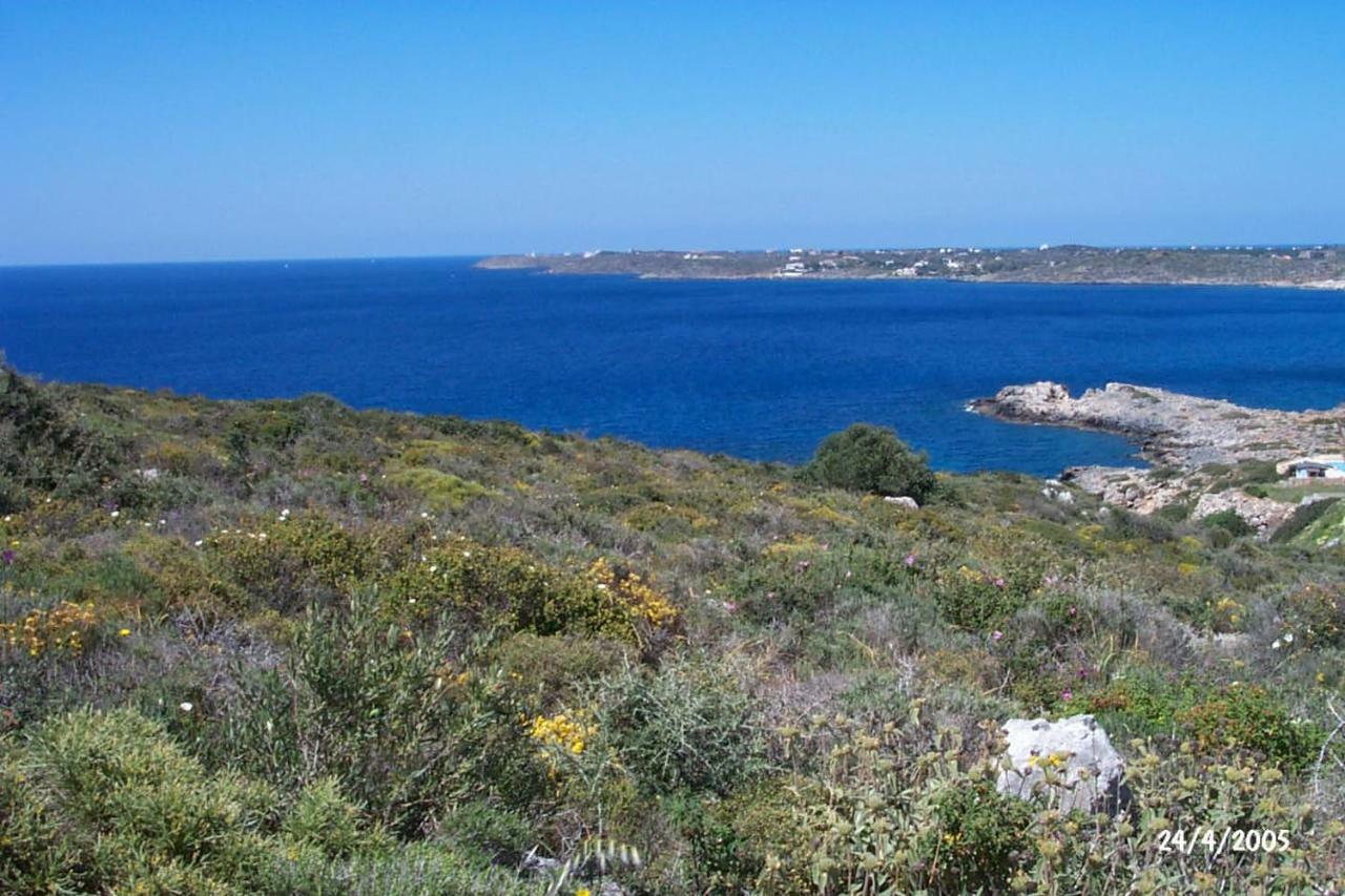 Holiday home Comfortable House Near Chania *