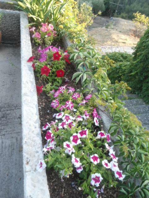 Holiday home Tsapoula Mousata