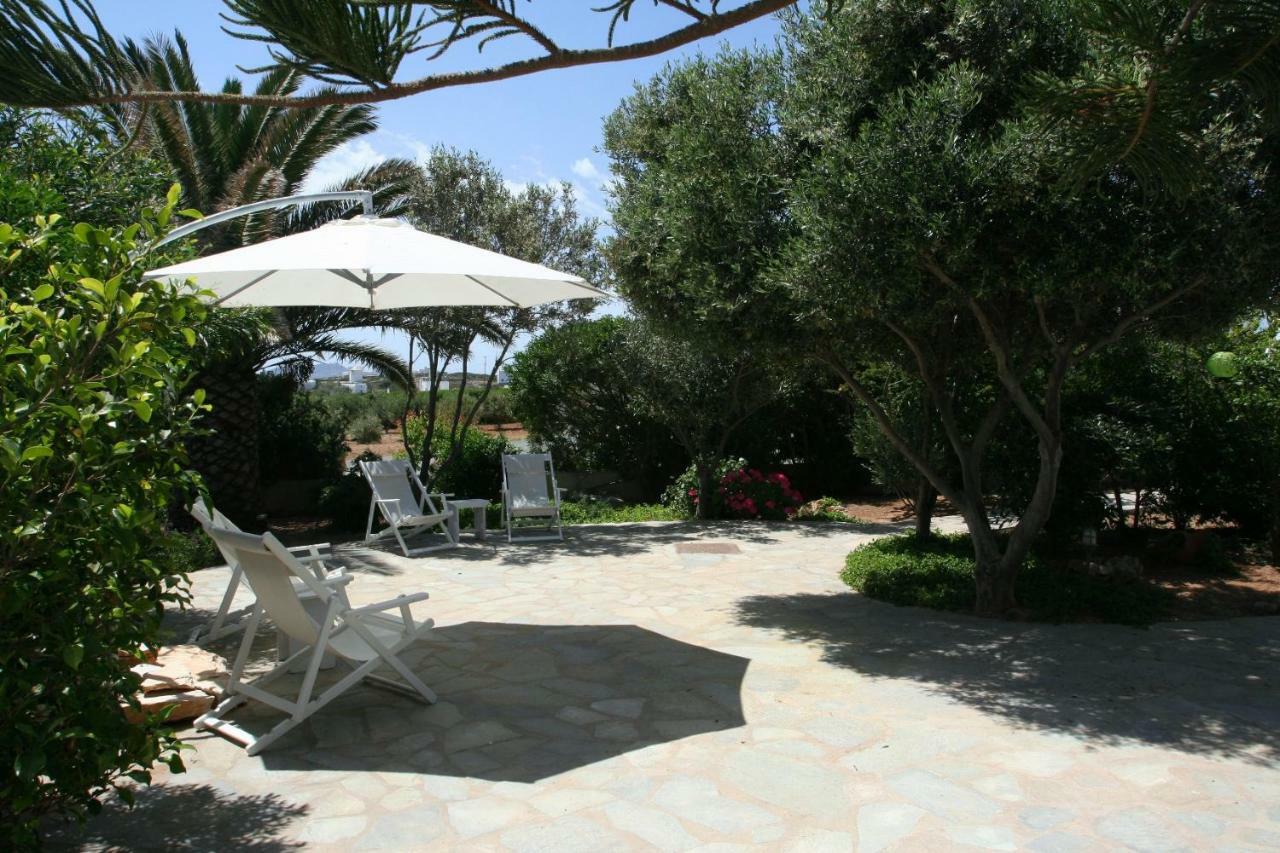Viglakia * Naousa (Paros)