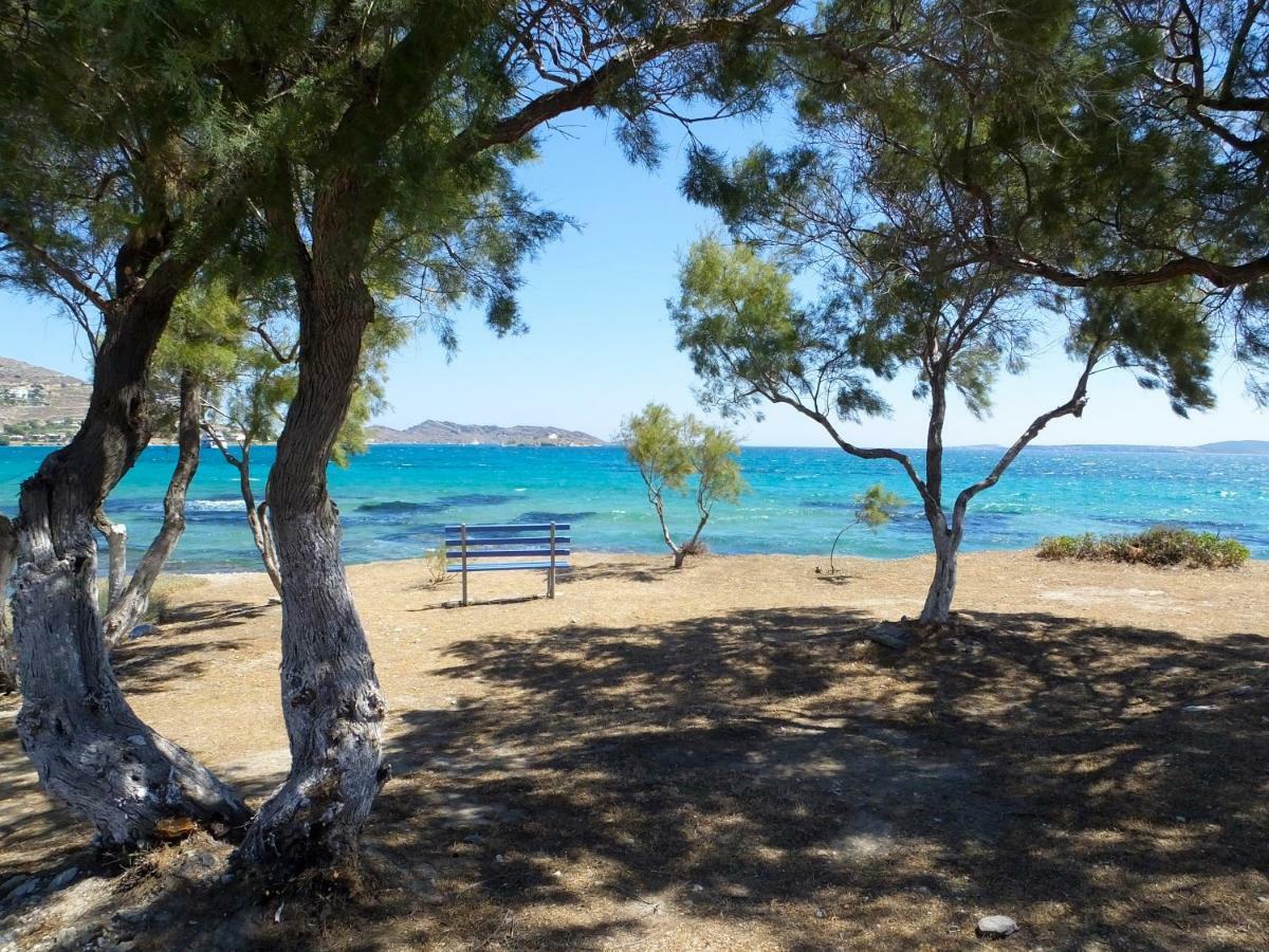 Viglakia Apartment Naousa (Paros)