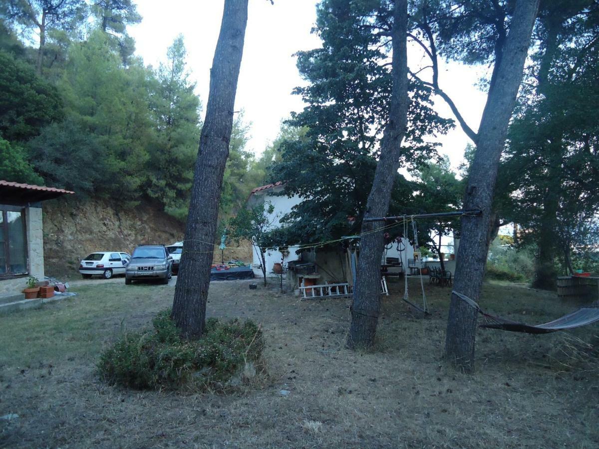 Aliki Nea Skioni
