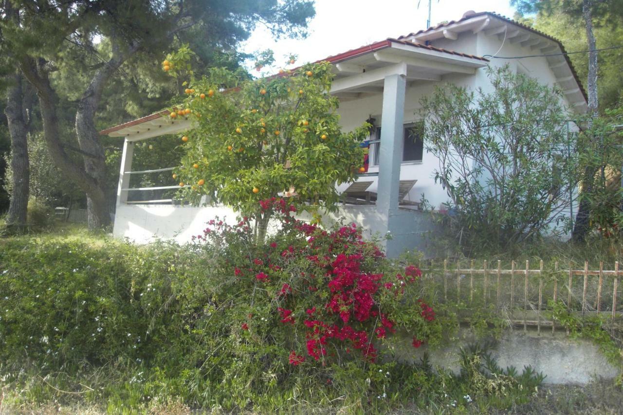 Villa Aliki Nea Skioni