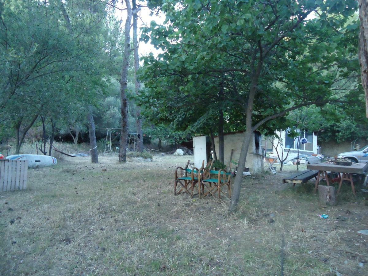 Aliki Nea Skioni